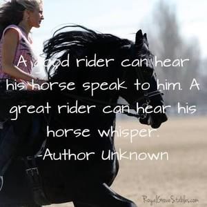 Meet your Posher, Doris