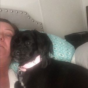 Meet your Posher, Robin