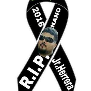 Meet your Posher, Sylvia