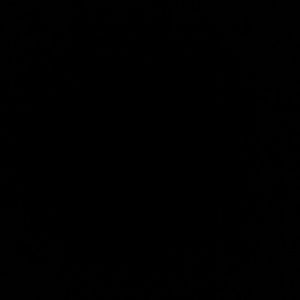 Meet your Posher, Cassandra