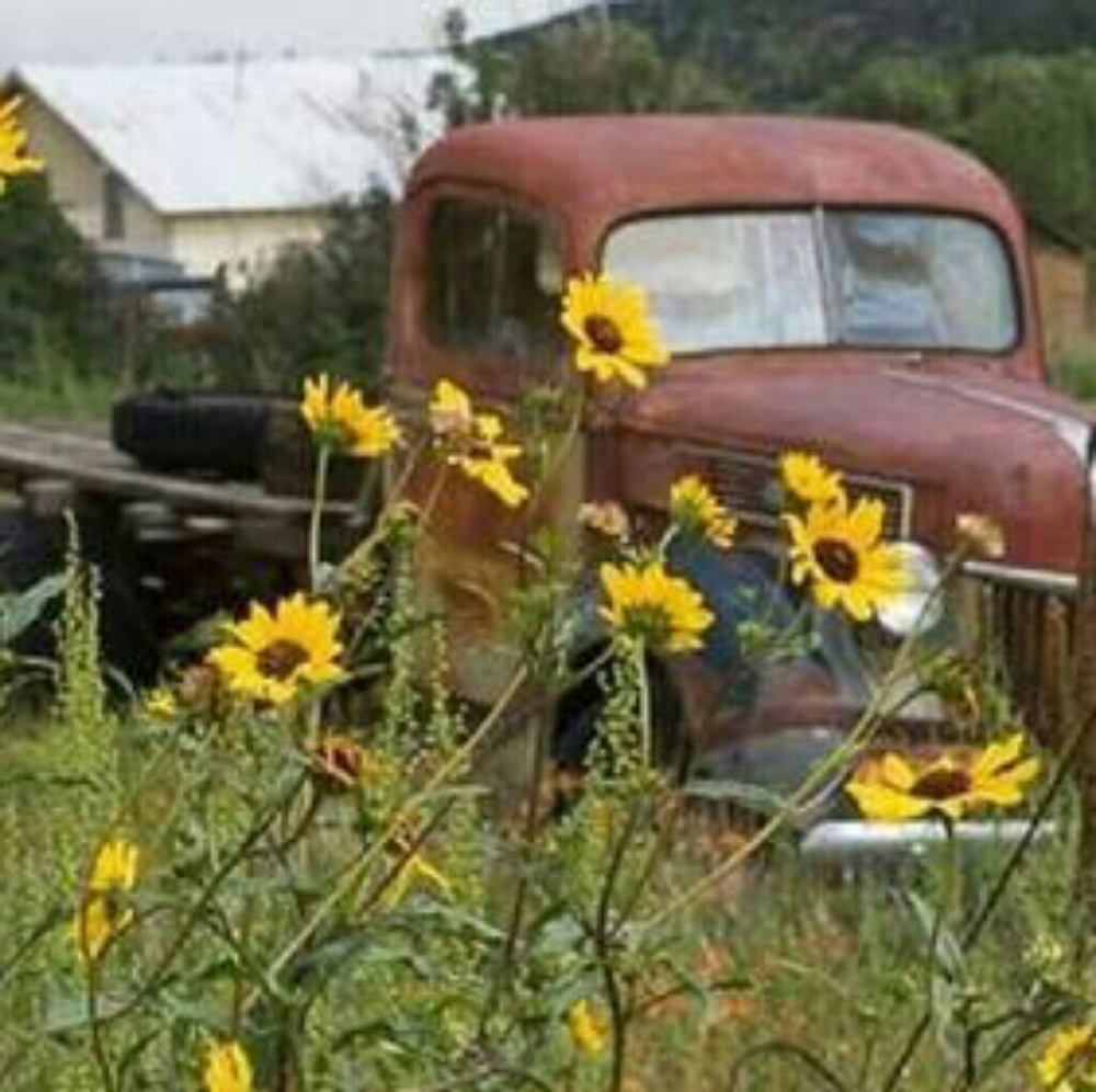 Meet your Posher, Heidi