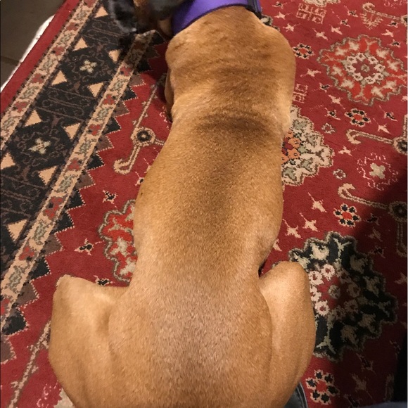 Meet your Posher, David - Picture 1 of 1