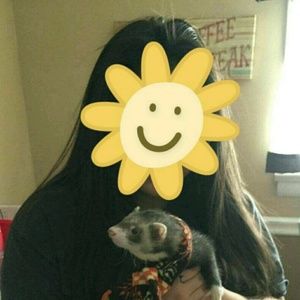 Meet your Posher, Izzy