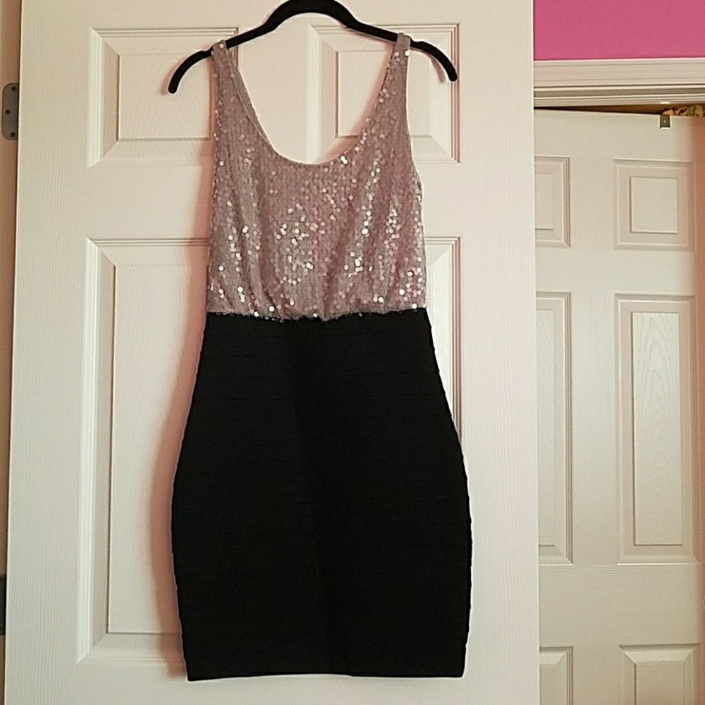 Express Fitted Sequence Dress