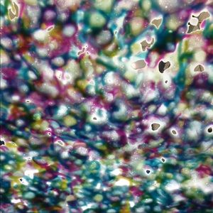 Meet your Posher, Kegann