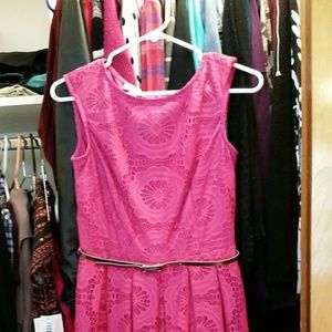 Pink London Times Lace Dress