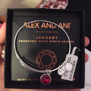 Alex and Ani January Birthstone bracelet