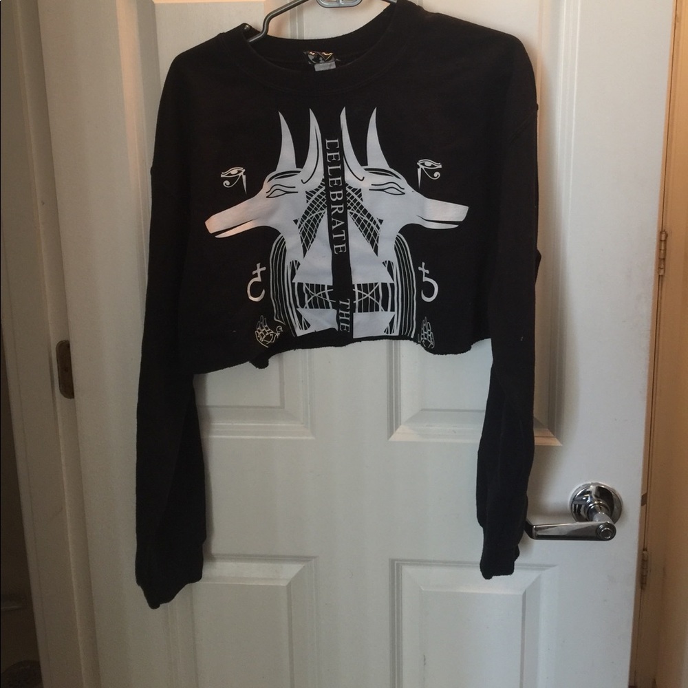 Cropped Pacsun Sweater