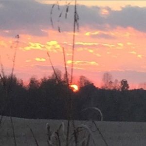 Meet your Posher, Tamara