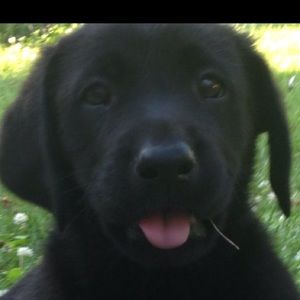 Meet your Posher, Elivea