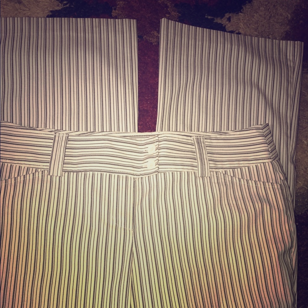 Women's Dress Pants