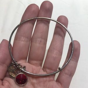 Capricorn birthstone Alex and Ani bracelet