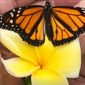 Meet your Posher, Michele