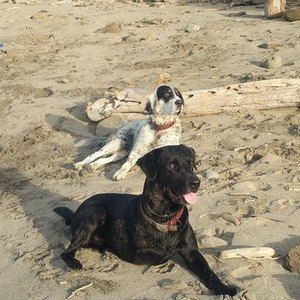 Meet your Posher, Denise