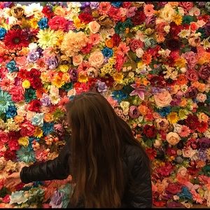 Meet your Posher, Sierra