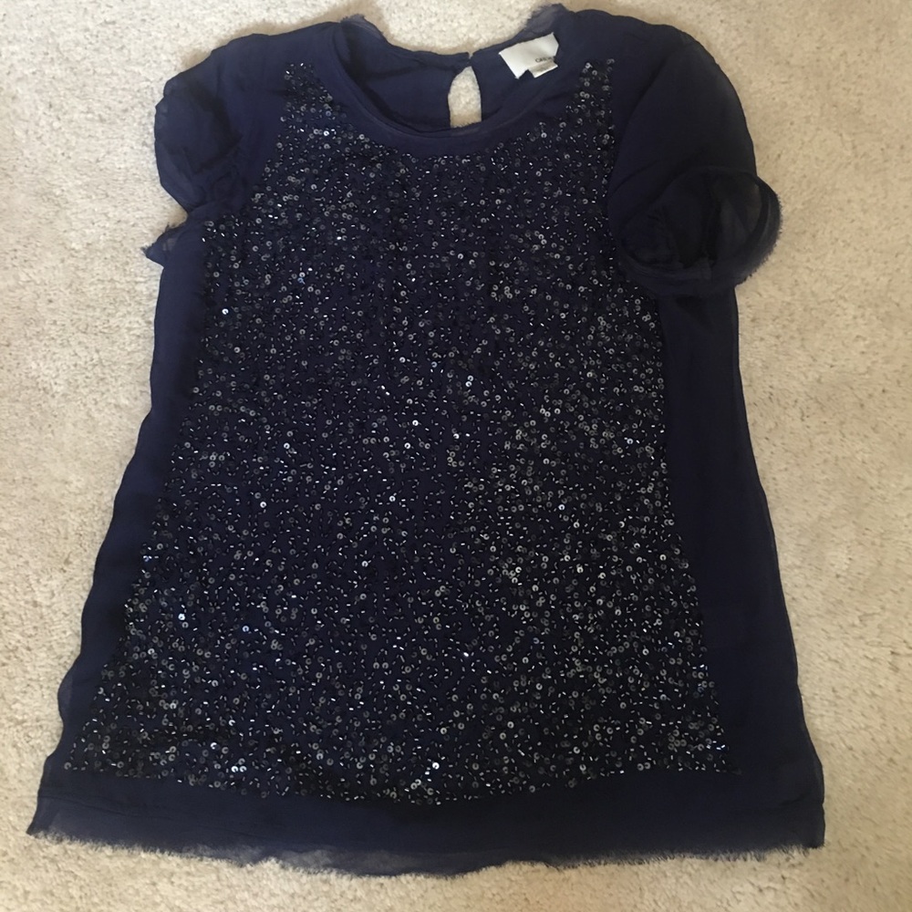 Greylin glitter top
