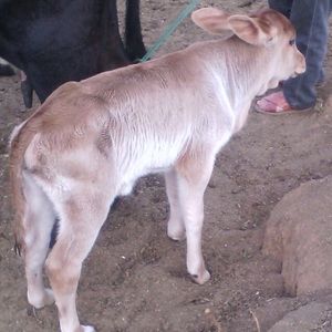 Meet your Posher, Fabio