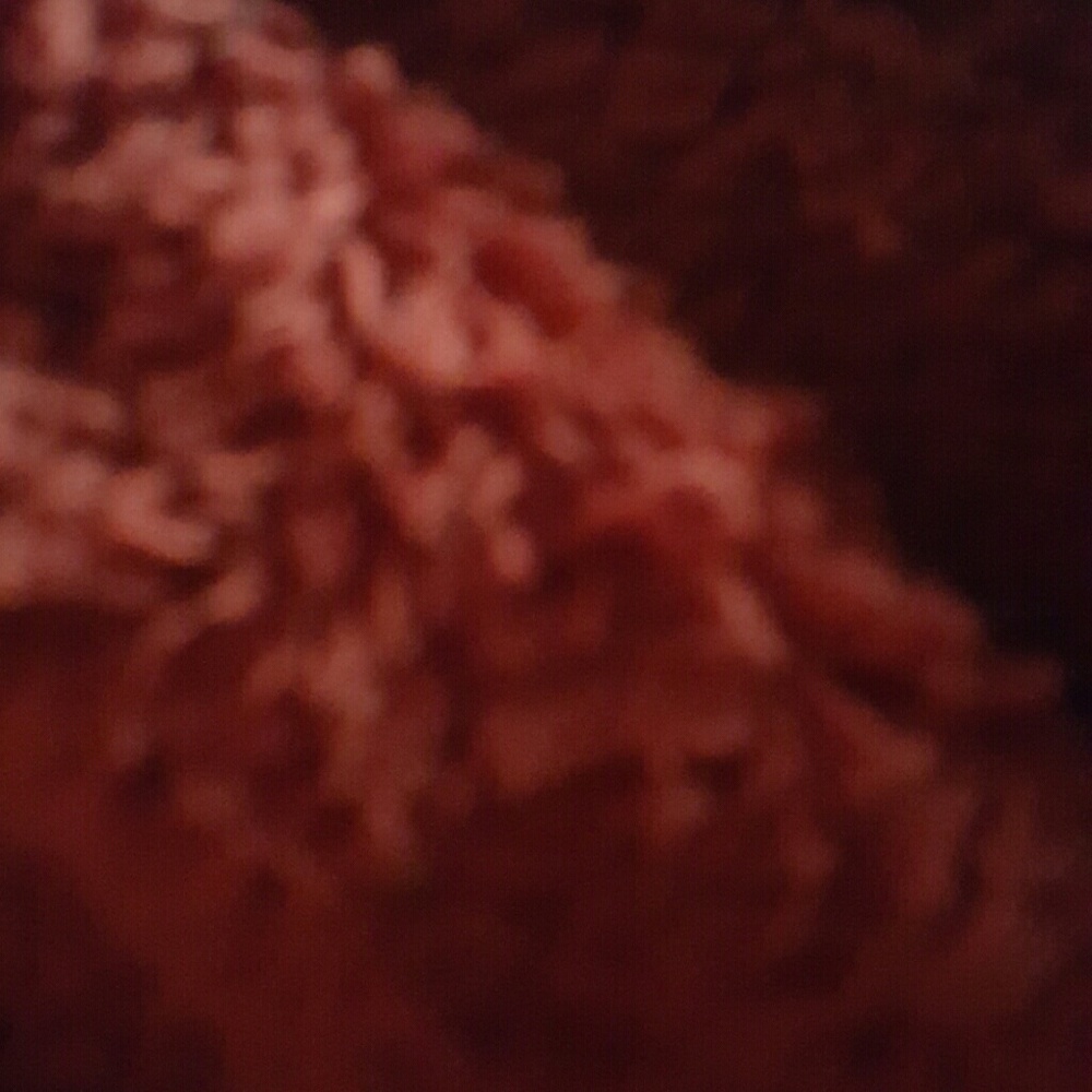 Meet your Posher, Wanda