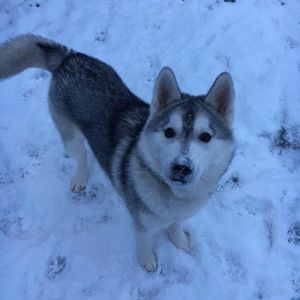 Meet your Posher, Jaden