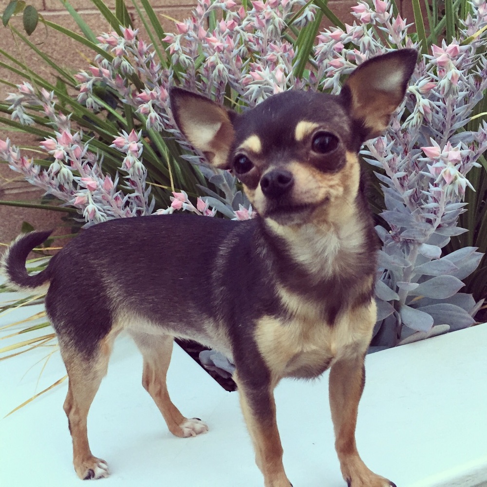 Meet your Posher, Stacy