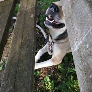 Meet your Posher, Rhonda