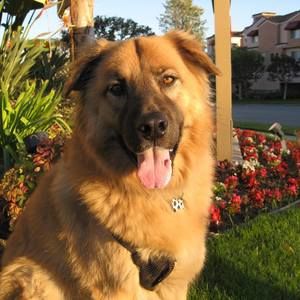 Meet your Posher, Janet