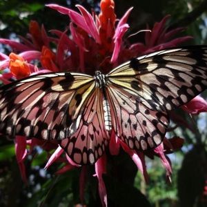 Meet your Posher, Trudee