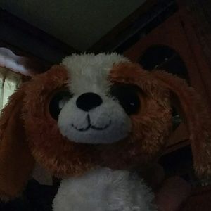 Meet your Posher, Dorothy