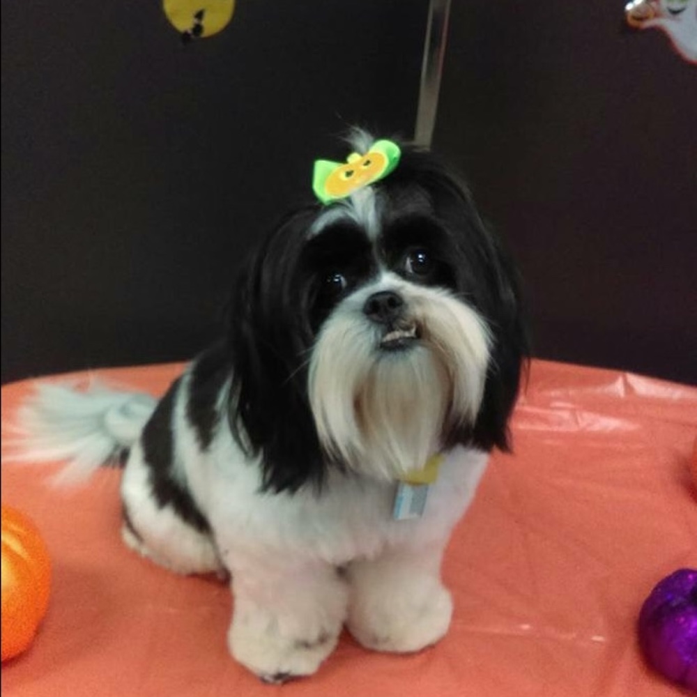 Meet your Posher, Yvette