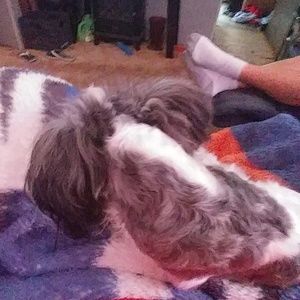 Meet your Posher, Joella