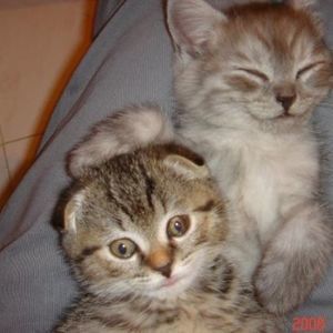 Meet your Posher, Winnie