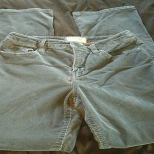 Gray Sonoma petite cords