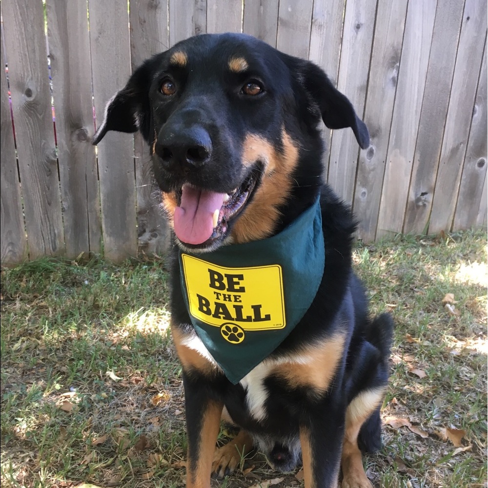 Meet your Posher, Cathy