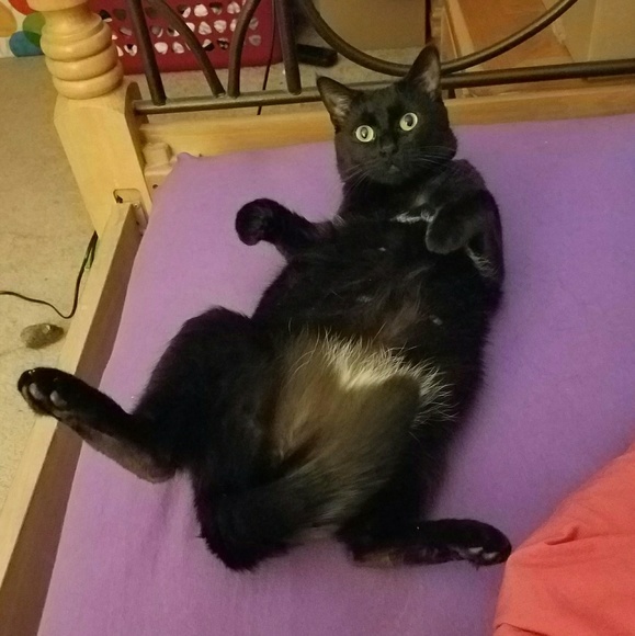 Meet Posher Amanda - Picture 4 of 5