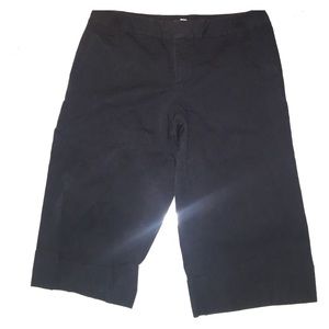 Banana Republic Walking Shorts Navy Blue