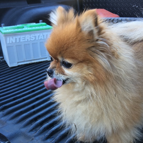 Meet Your Seller/Buyer Jessie! - Picture 3 of 5