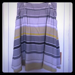 Striped Skirt