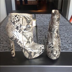Snake skin Steve Madden ankle boots booties