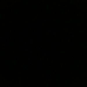 Meet your Posher, Tamia