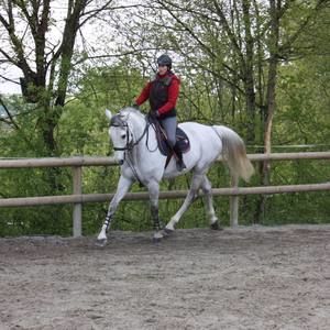 Meet your Posher, Pamela