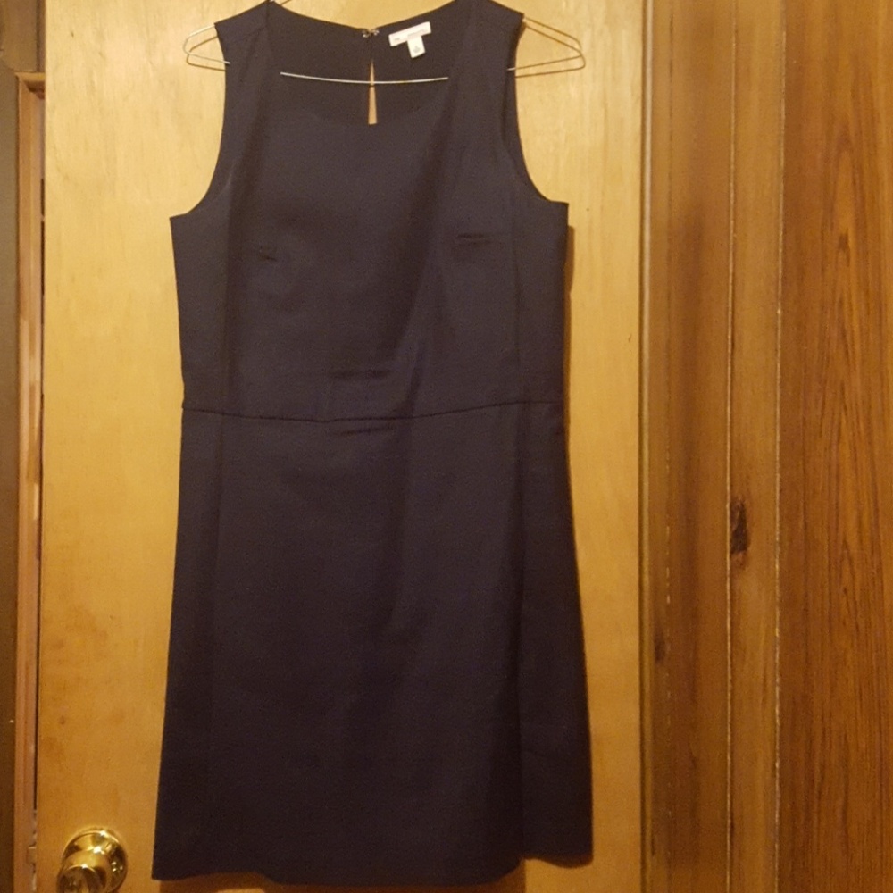 Gap Dress w/pockets