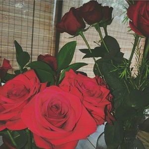 Meet your Posher, Farrah