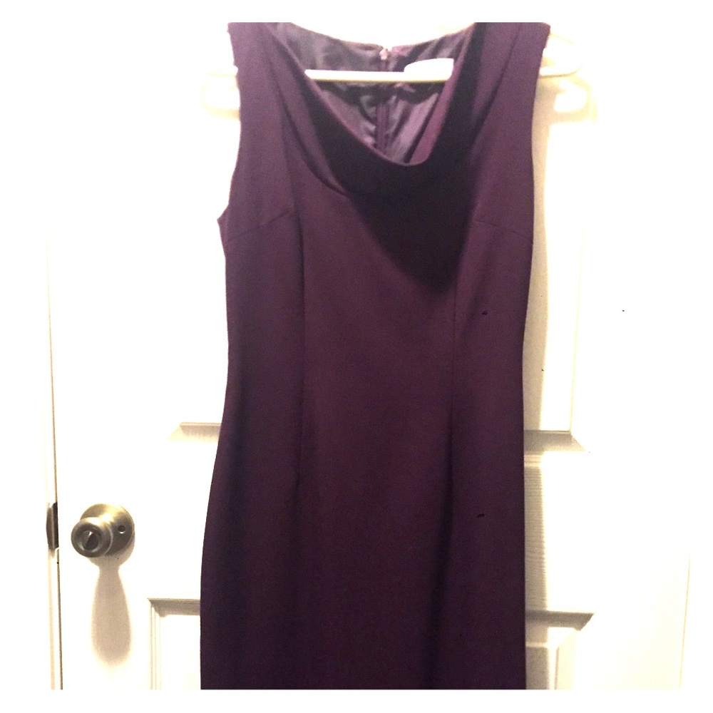 Calvin Klein Plum Dress Size 2