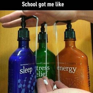 Meet your Posher, Candy