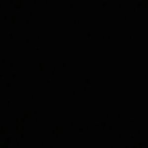 Meet your Posher, Ria