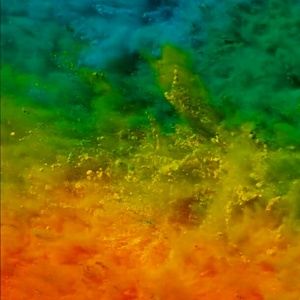 Meet your Posher, Ethan