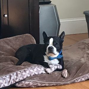 Meet your Posher, David