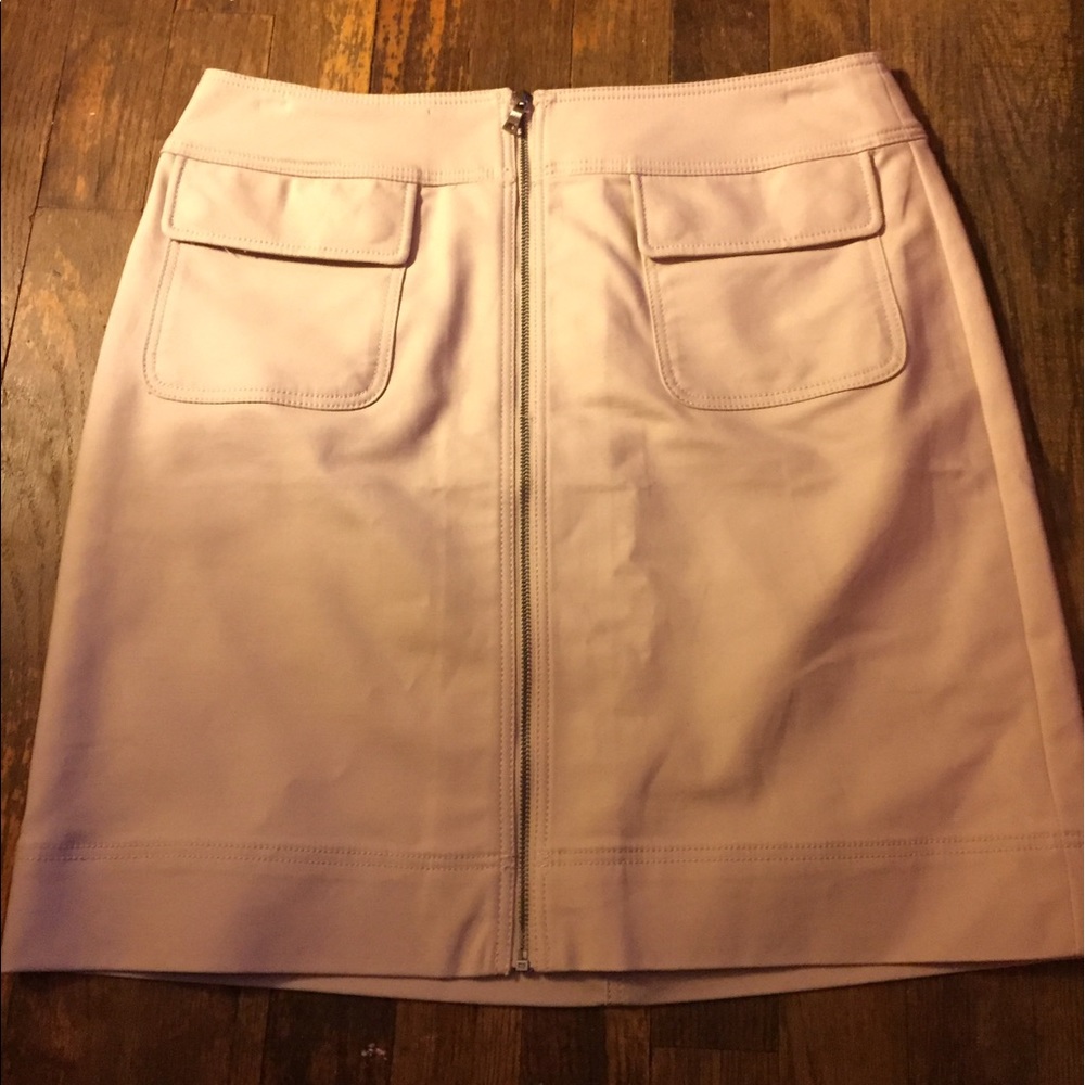 Ann Taylor skirt