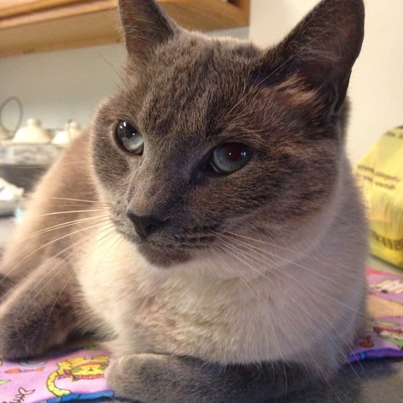 Meet your Posher, Sarah - Picture 11 of 13