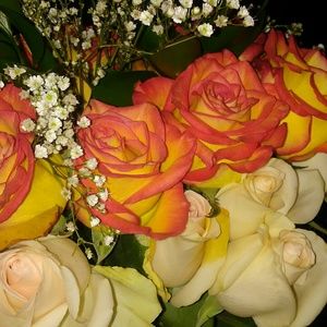 Meet your Posher, Deanna